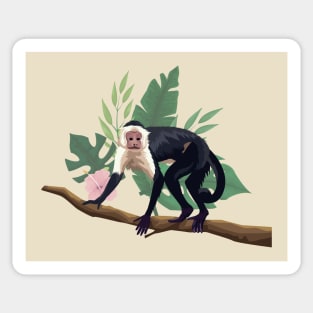 capuchin monkey tree branch Sticker